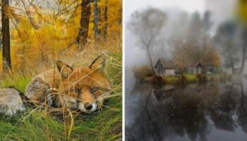 15 знімків природи, від яких буквально дух захоплює